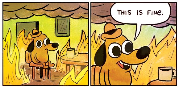 This is fine dog meme